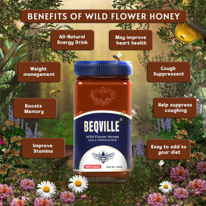 Beqville NMR Tested Organic 100% Raw & Natural Forest Honey - 500gm Glass Jar